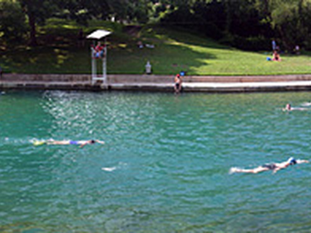 Swimmers in the spring-fed pool at Barton Springs, Austin